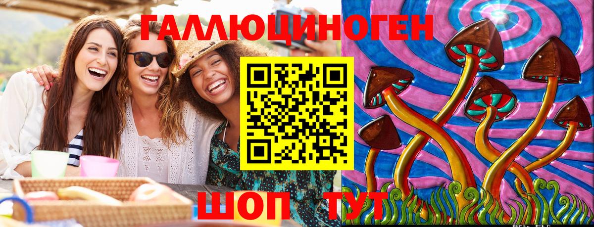 Сибай  Псилоцибиновые грибы Psilocybine cubensis  Вход с VPN 