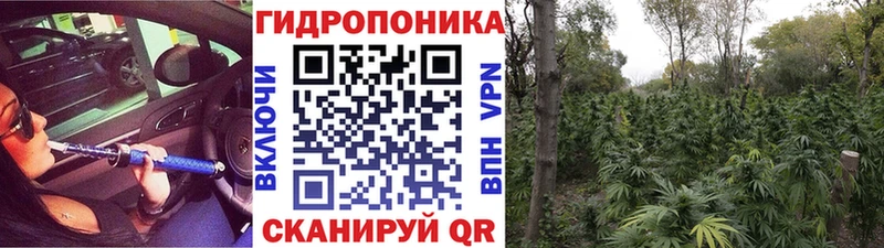 Каннабис семена Сибай